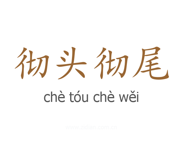 彻头彻尾