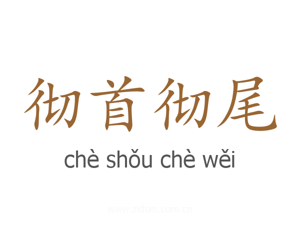彻首彻尾