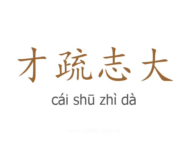 才疏志大
