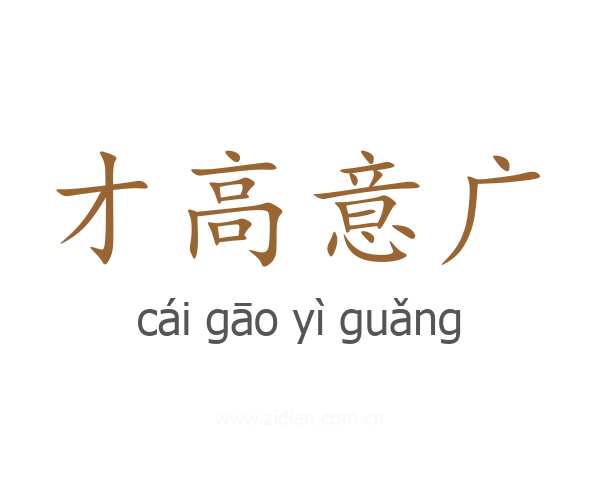才高意广