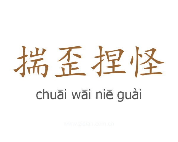 揣歪捏怪