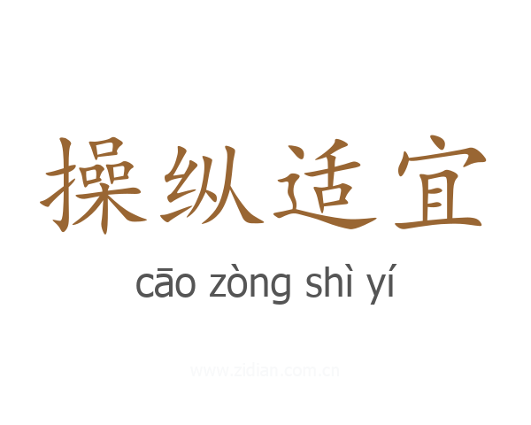 操纵适宜