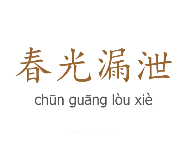 春光漏泄