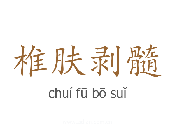 椎肤剥髓