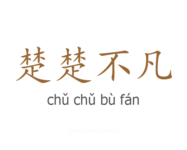 楚楚不凡
