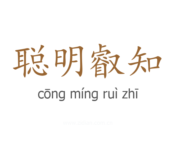 聪明叡知