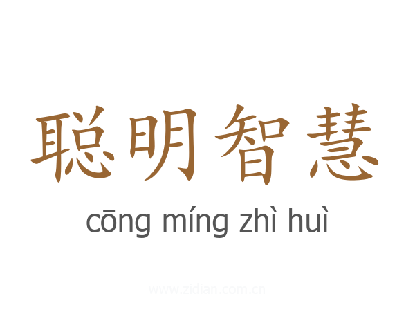 聪明智慧