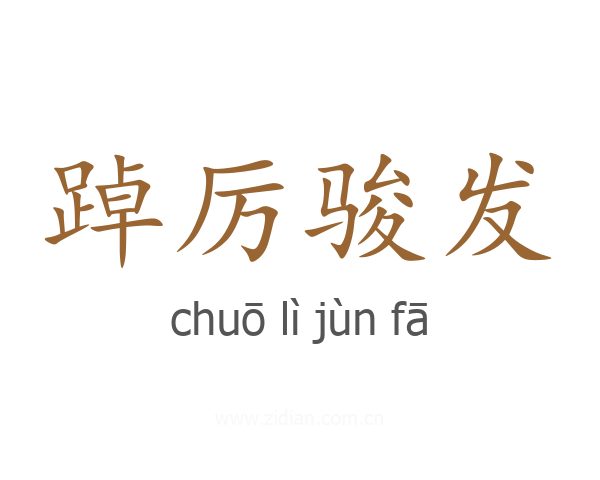 踔厉骏发