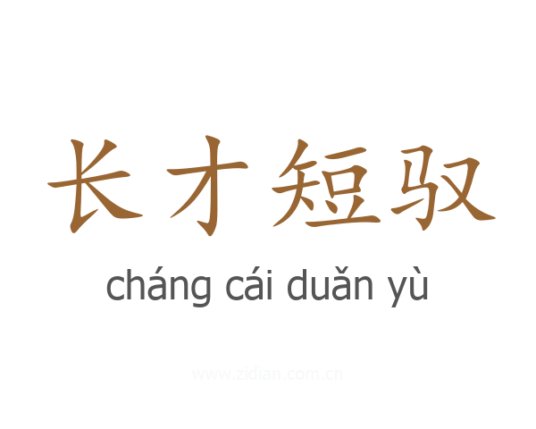 长才短驭