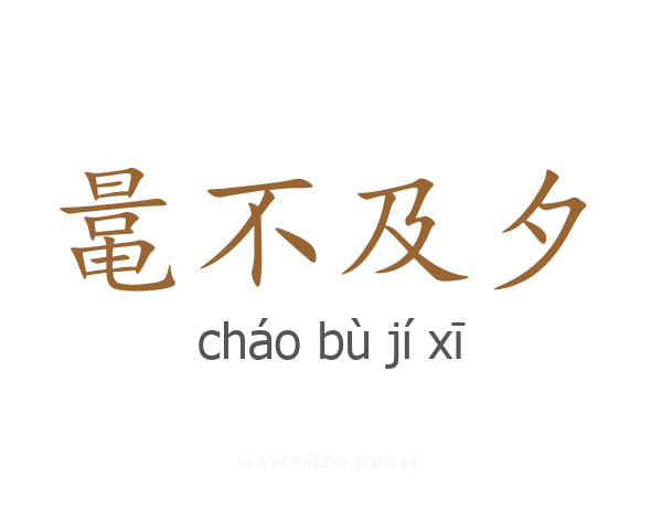 鼌不及夕