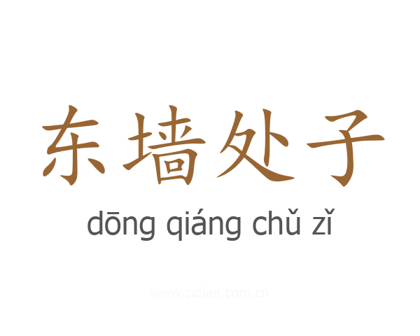 东墙处子