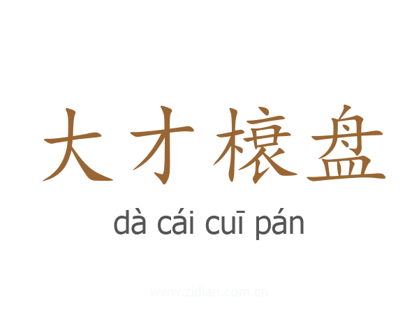 大才榱盘