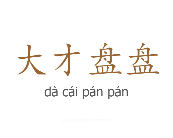 大才盘盘