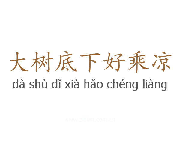 大树底下好乘凉