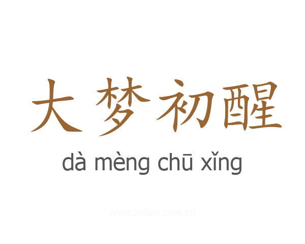 大梦初醒
