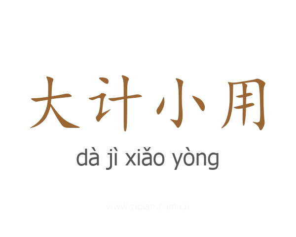 大计小用