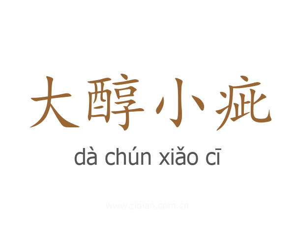 大醇小疵