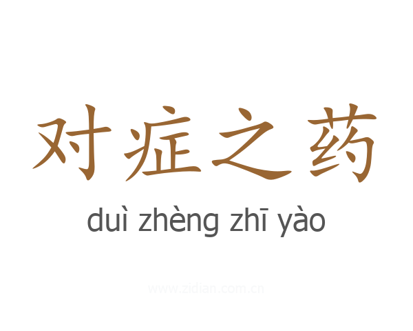 对症之药