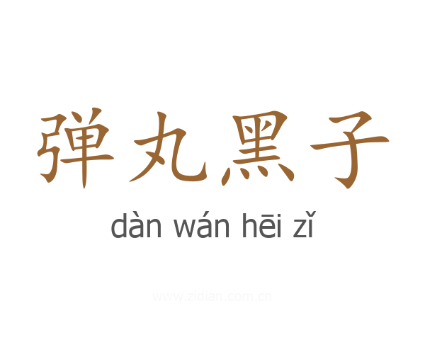 弹丸黑子