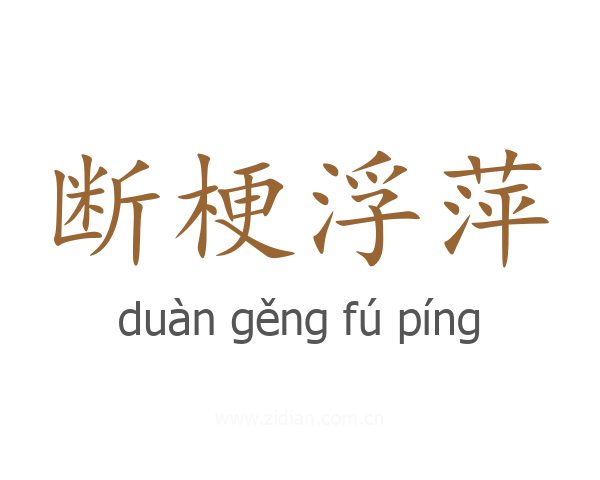 断梗浮萍