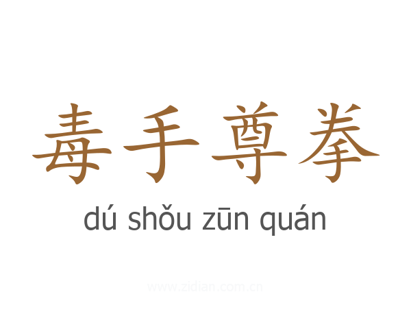 毒手尊拳