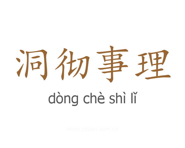 洞彻事理