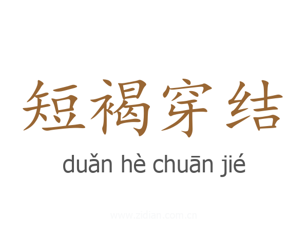 短褐穿结