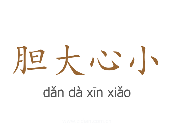 胆大心小