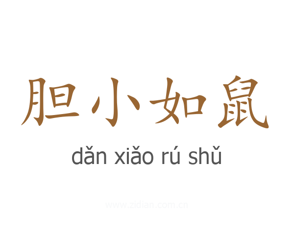 胆小如鼠
