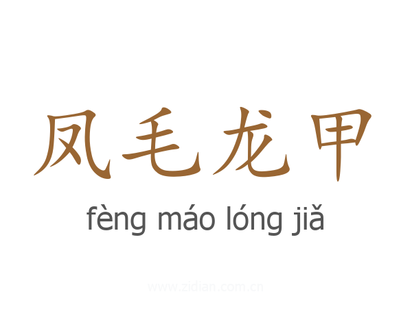 凤毛龙甲