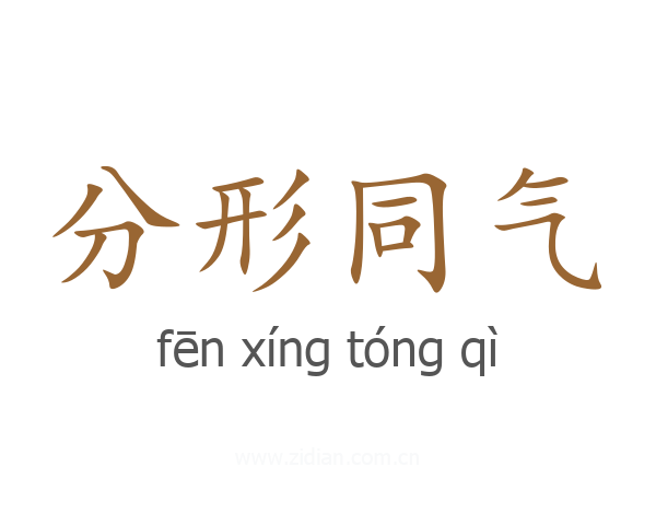 分形同气