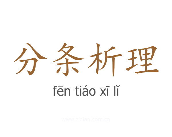 分条析理