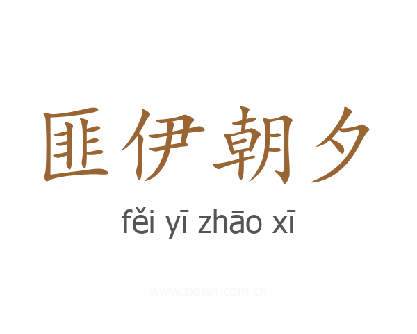 匪伊朝夕