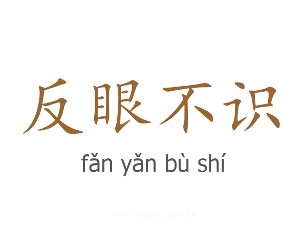 反眼不识
