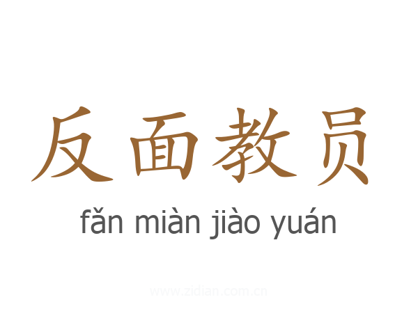 反面教员
