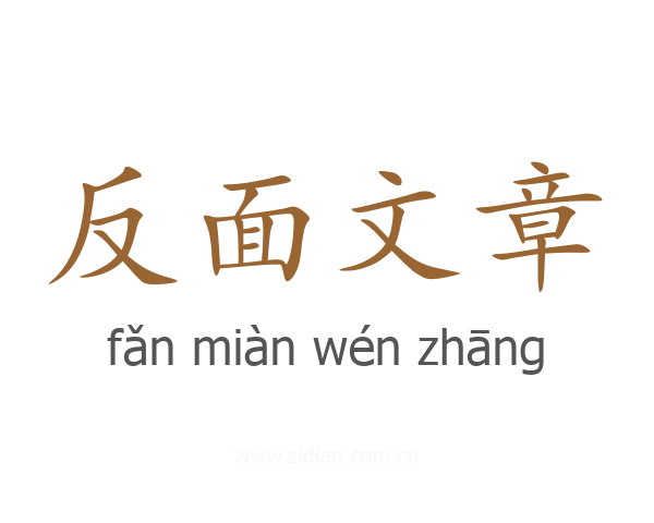 反面文章