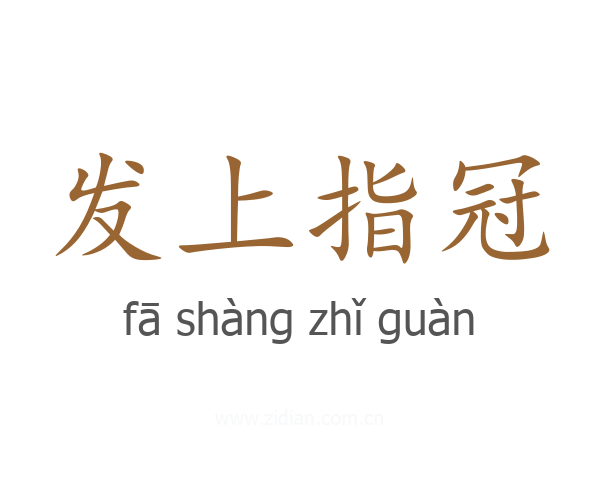 发上指冠