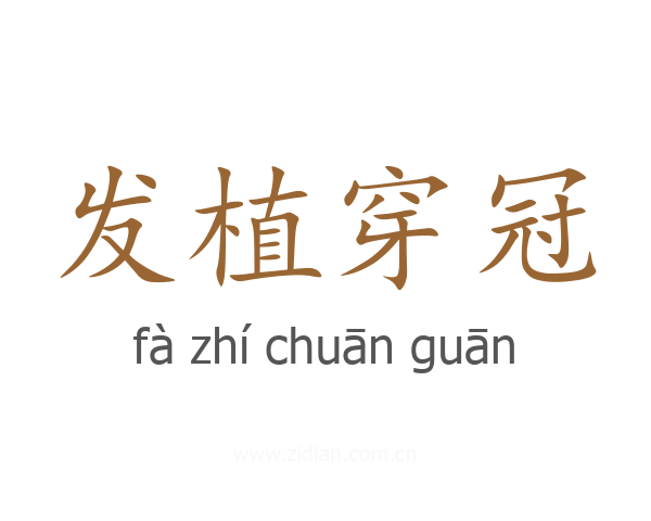 发植穿冠