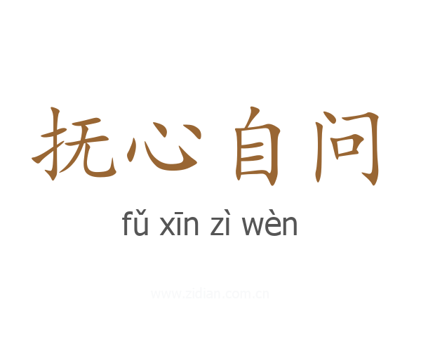 抚心自问