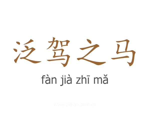 泛驾之马