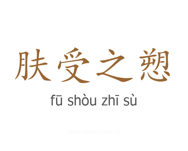 肤受之愬