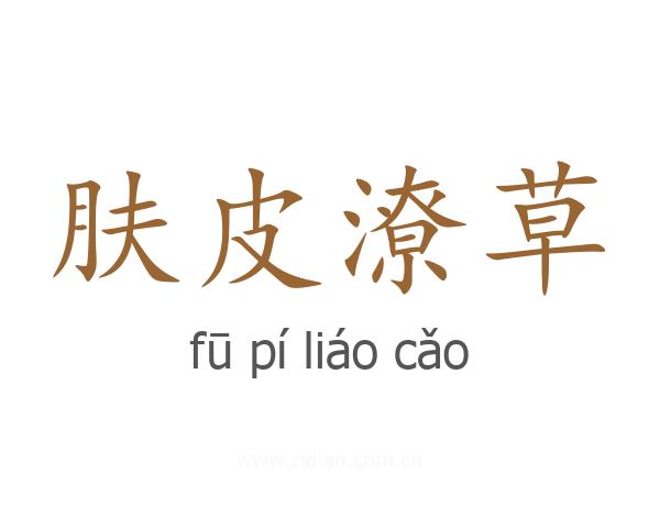 肤皮潦草