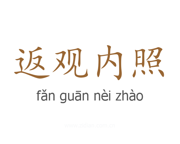 返观内照