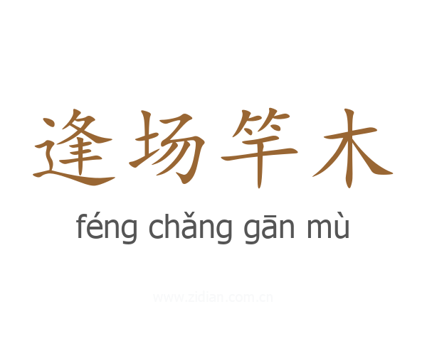 逢场竿木