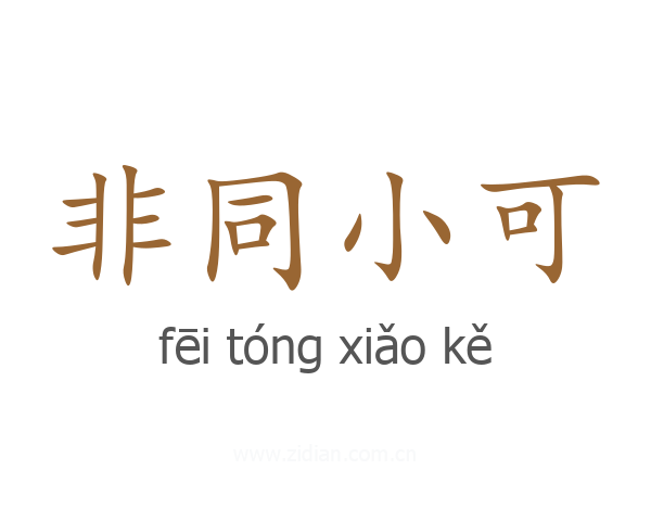 非同小可
