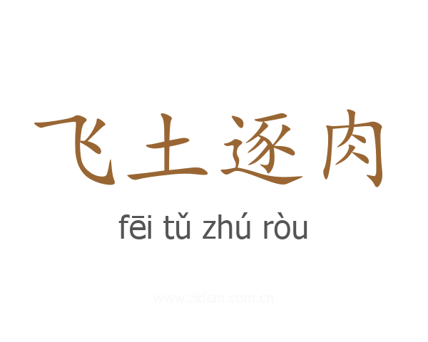 飞土逐肉