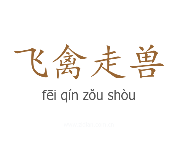 飞禽走兽
