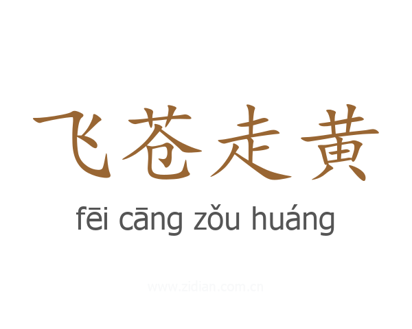 飞苍走黄