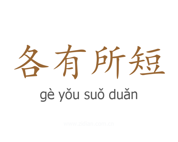 各有所短