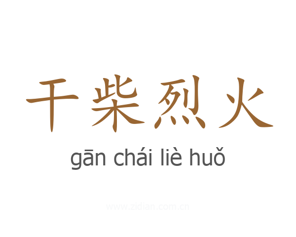 干柴烈火